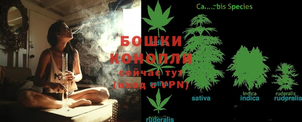ГАЛЛЮЦИНОГЕННЫЕ ГРИБЫ Армянск