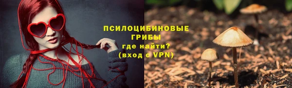 ГАЛЛЮЦИНОГЕННЫЕ ГРИБЫ Армянск