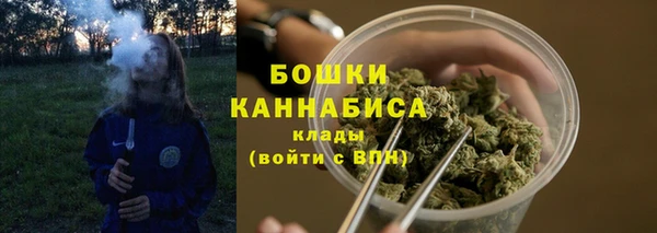 шишки Балабаново