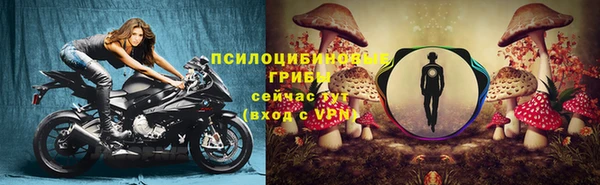 ГАЛЛЮЦИНОГЕННЫЕ ГРИБЫ Армянск