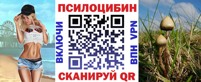 Псилоцибиновые грибы ЛСД Игарка